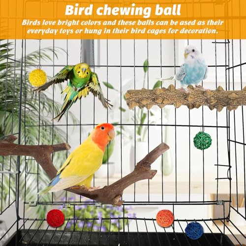 kathson 5pcs Natural Parrot Perch for Cage Wooden Bird Perches Grape Bird Stick Parakeet Climbing Standing Branches Toy Chewable Cage Accessories for Small Budgies Cockatiels Lovebirds Budgies
