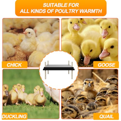 ZIDA Chick Brooders Heating Plate - 16 x 24 Inch Height and Angle Adjustable, Constant Temperature Setting 80w Brooder Heat Plate, Can Heat 50 Chicks, Low Decibel, Energy Saving and Safer