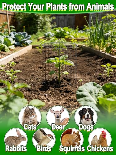 16''H x 11''Dia Plant Protectors from Animals - Full-Protection Anti-Rust Plant Cages with Covers for Outdoor Plants, Wire Garden Cloches for Plants Strawberry Keeping Chicken Rabbits Out, 4 Sets