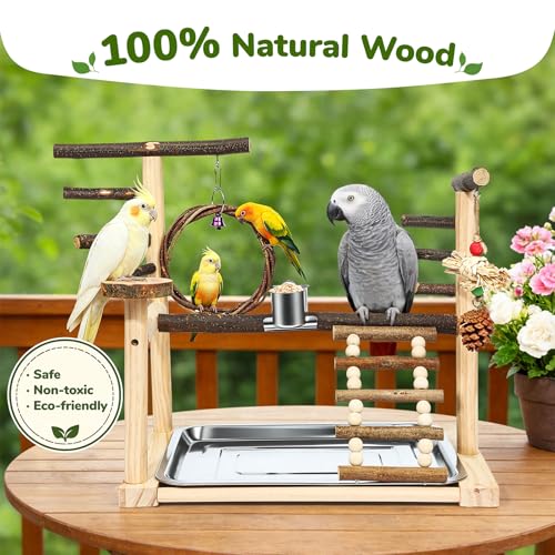 Bird Playground,Parrot Stand with Feeding Cup, Swing, Chew Toys,Removable Tray,Suitable for Small to Medium Birds, Ideal Perch for Budgerigars, Parakeets,Cockatiels