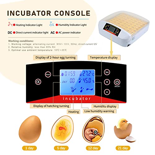 Egg Incubator ，56 Eggs Fully Automatic Egg Incubator with LED Lighting Automatic Turner and Intelligent Temperature Control， for Eggs/Duck Eggs/Bird Eggs/Goose Eggs Hatching