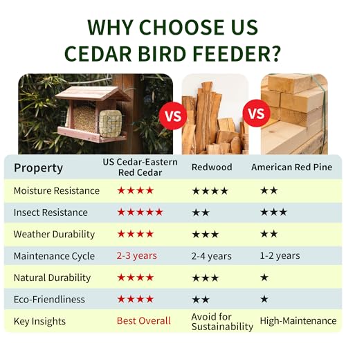 Solution4Patio US Cedar Hopper Bird Feeder for Outdoors Hanging, Handcrafted Wood Double Suet Cage & Clear View Windows, Squirrel-Proof Wild Bird Feeder for Cardinals, Finches, Chickadees - style: Rectangle