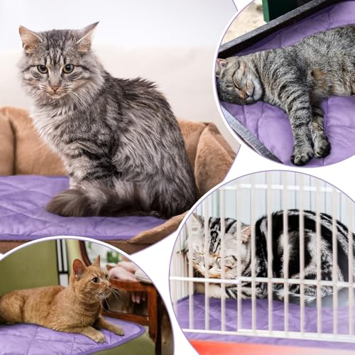 4 Pack Self Heating Cat Pad Self Warming Dog Mat Reflects Body Heat Extra Warm Thermal Pet Pad Washable Dog Cat Bed Crate Bed Mat Blanket(16 x 20 Inch,Purple) - color: Purple, size: 16 x 20 Inch