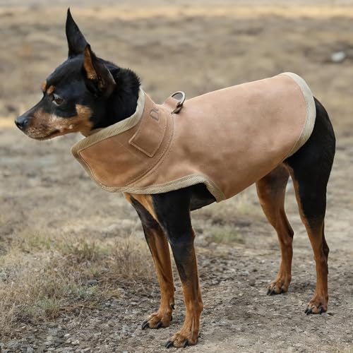 Dog Protection Vest - The Surface Layer of Genuine Leather (S, Brown) | Dog Protection Ves Tough and Wear-Resistant, Protection Against Attacks by Coyotes, Hawks, Raptors, and Birds of Prey - size: S