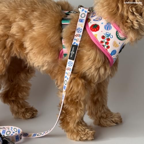 Lucy & Co. Dolce Vita Dog Leash, Durable Matching Dog Lead with Heavy Duty Hardware, Large - color: Dolce Vita, size: Large