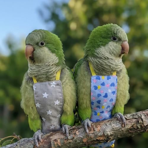 Bird Flight Harness Vest, Snap-Fastener Design Harness Vast, Bird Flying Clothes with Rope and Handle for Parakeets Cockatiels Conures Budgies（Blue Heart - Vest + Traction M - color: Blue Heart, size: M