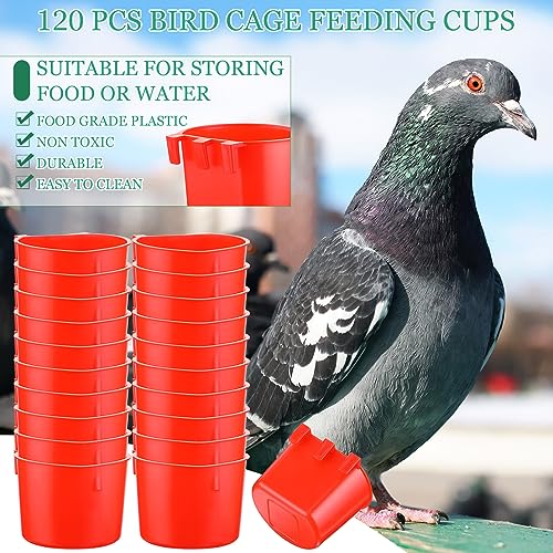 120 Pcs Cage Cups Chicken Feeder Cups 8 oz Plastic Hanging Birds Feeders and Waterers Bowl Feeding Bucket for Pigeon Poultry Parrot Rooster Rabbit Duck Supplies(Red) - color: Red