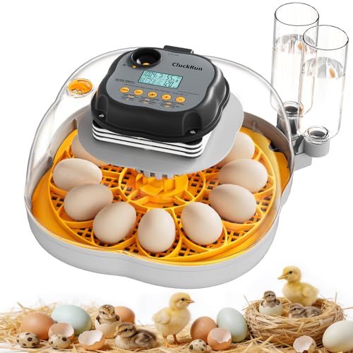 Egg Incubators for Hatching Eggs, 12 Chicken or 30 Quail Eggs Incubator | Dual Egg Trays, Auto Egg Turning, Auto Water Refill, Incubation Timer, 360° Clear View Window & Built-in Egg Candler - color: Yellow, size: 12 Eggs