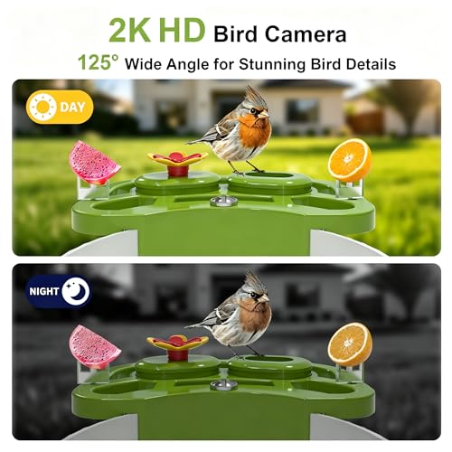 Smart Bird Feeder with Camera Solar Powered, AI Species Identification, 2K HD Video, Instant Arrival Alerts, Weatherproof Design for Outdoor, Best Gift for Bird Lovers(Green) - color: Green