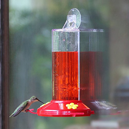 Perky-Pet Plastic Window Mount Hummingbird_Feeder with Perches - 8 oz Hummingbird Nectar Capacity, 217 - Hummingbird feeders for Outdoors (Pack of 2) - size: 2 Pack
