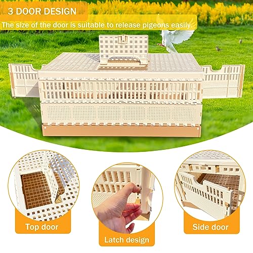 Folding Pigeon Cage Racing Pigeons Travel Cage Pairing Cage Plastic Three Doors Nest Box for Training and Release, Competition(L) - size: L