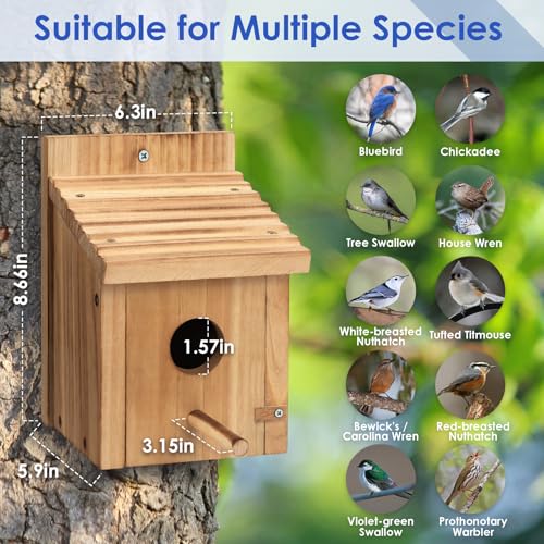 2 Pack Bird Houses for Outside,Garden Bird Houses for Outdoor,Wooden Birdhouses Kits for Bluebird Finch Swallow Wren Chickadee Assembly Required