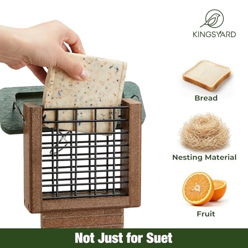Kingsyard 2 Pack Suet Bird Feeder with Tail-Prop | Recycled Poly Lumber Suet feeder, Sturdy & Durable, Outside Hanging, Great for Woodpecker & Clinging Birds, Green - color: Green