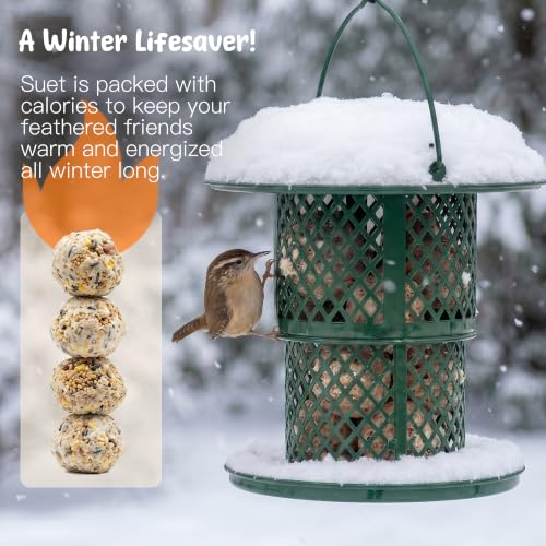 KOL Metal Suet Ball Feeder for Birds – Single-Layer Expandable Design Suet Bird Feeder, Heavy-Duty Wild Bird Feeder with Secure Lid, Large Capacity for Backyard (Jasper) - color: Jasper