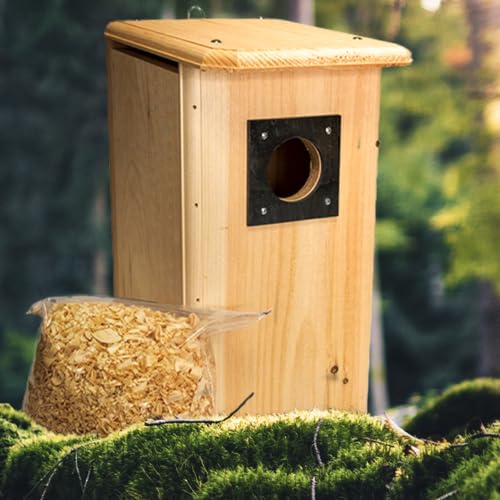 Northern Flicker House