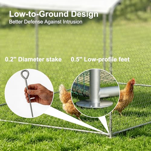 HERBAN 2026 Upgraded Large Metal Chicken Coop with All-Around Hardware Cloth, 9.8x19.5x6.4 ft Walk-in Outdoor Chicken Run Pen for Backyard with Cover, Spire Roof Poultry Cages - size: 234.0"L x 117.6"W x 76.8"H