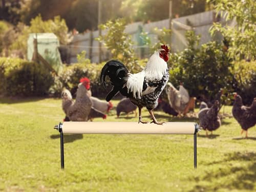 Chicken Perch Toys, Wooden Chick Perch Stand with Metal Ground Plug, Outdoor Birds Training Platform, Chicken Coop Accessories, Suitable for Poultry Rooster Chicks Large Birds Chicks Parrots - size: 17.7 Inch Long