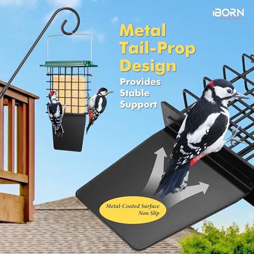 iBorn Suet Feeder with Tail Prop,Woodpecker Feeder,Suet Feeders for Outside Hanging,Suet Bird Feeders for Outdoors,Heavy-Duty Suet Cage,Suet Holder,Rainproof Roof,Easy Clean and Refill,1 Pack,Green - color: Green, size: Single Capacity