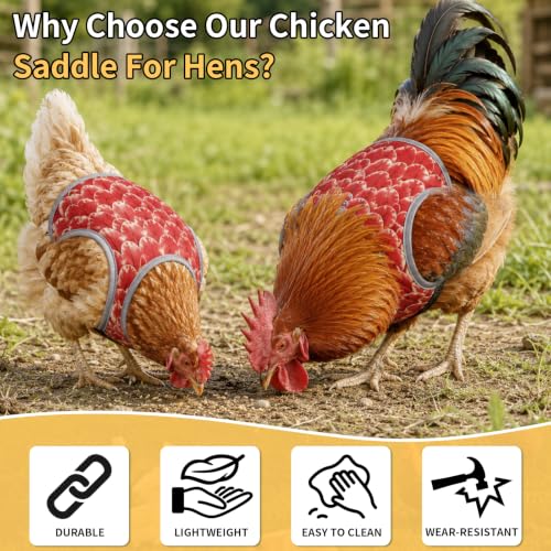 Chicken Saddles for Hens – Adjustable Back Protector with Anti-Peck Straps, Waterproof Oxford Fabric - color: 1-Pack