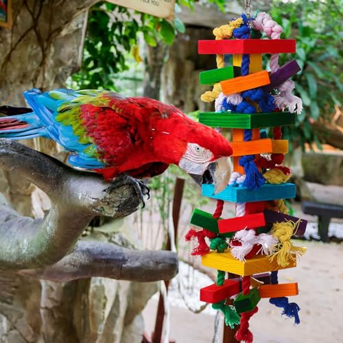 Soulchen 4 Pcs Extra Large Bird Parrot Toy Set Natural Wooden Chewing Toy, Rattan Ball, Wood Nut Loofah String (Bagged) for Large Medium Macaws, African Grey, Parrots (Colorful Ring) - style: Colorful Ring