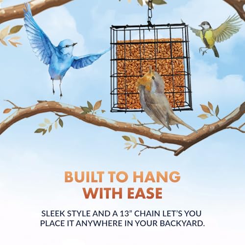 Newhouse Pet Single Cake Suet Basket Bird Feeder NHP-Suet-BLK, Small Hanging Bird Feeder for Outdoors, Suet Cake Holder for Jays, Woodpeckers, Chickadees, Wrens, and Other Birds - style: Suet Feeder