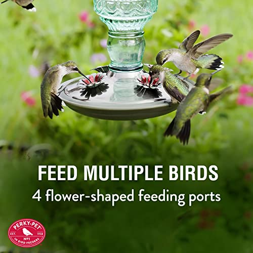 Perky-Pet Glass Bottle Hummingbird Feeder - Outdoor Garden Décor Humming Bird Feeder,8108-1SR - 10 Fl Oz Nectar Capacity - Durable Green Antique Design - Hang from Tree,Porch,Deck,Hook,(Pack of 6) - style: Green Bottle (Pack of 6)