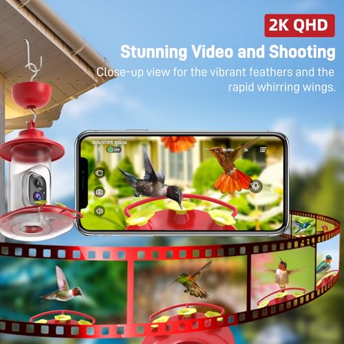 SOLIOM Hummingbird Feeder with Camera, Solar Powered 2K Smart Bird Feeder with AI Bird Identification, Auto Motion Detection, Ant Moat & Pole Mount, Ideal Gift for Hummingbird Lovers, 20 oz