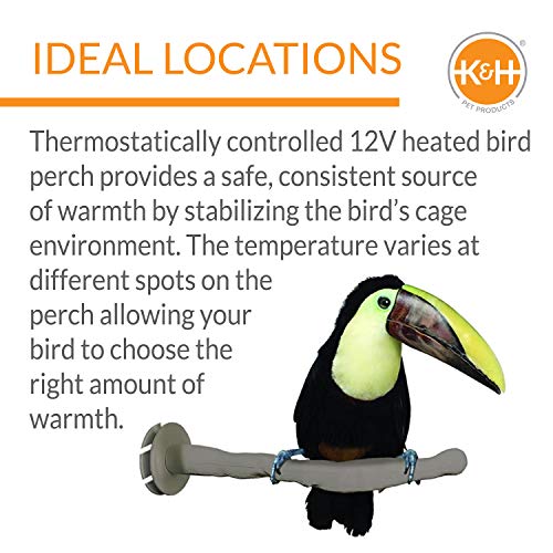 K&H Pet Products Thermo-Perch Heated Bird Perch for Cage, Bird Cage Accessory, Exotic Avian Warming Post for Small/Medium Feathered Friends Like Parakeet, Cockatiel, Canary - Small 1 X 10.5in 12V - size: Small 1 X 10.5 Inches