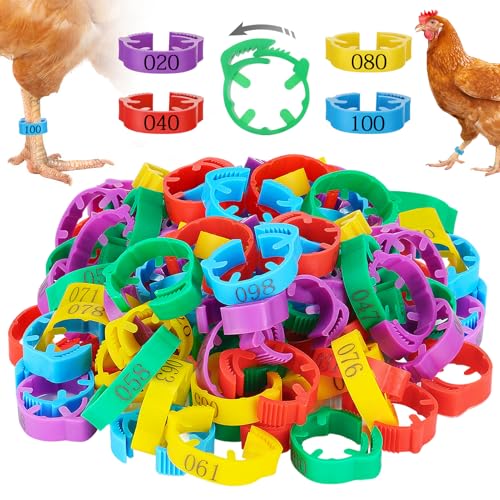 MEWTOGO 17-23mm Adjustable 100 Pcs Chicken Leg Bands - Colorful Easy to Read Numbered Chicken Identification Leg Rings, Durable Poultry Leg Bands for Ducks Goose Turkey Small Birds