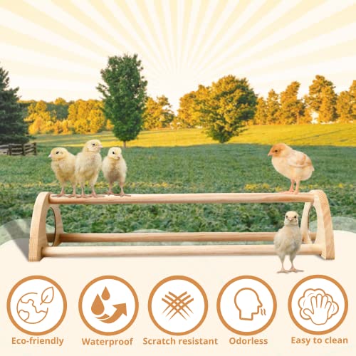 TonGass 16" Extra Long Chicken Perch, Durable Polished Bamboo Roosting Bar | Freestanding Roosting Bar for Baby Chicks with Built-in Mirrors for Entertainment, 15 3/4 x 6 5/8 x 3 1/2"