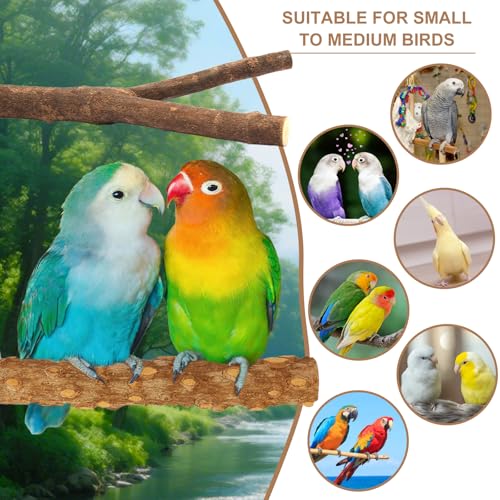 7-Piece Bird Perches for Cage- Wooden Parrot Stand with Fork Toys, Hanging Multi-Branch Platform, Hammock Swing, Gym Playstand & Chewing Toys - for Parakeets, Budgies, Lovebirds - Durable