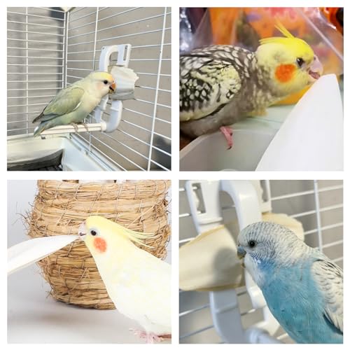 3.5"-4" Cuttlebone for Birds,Parakeets Cuddle Bone Beak Trimming,Premium Calcium Natural Cuttlefish Bone for Parrot,Cockatiel,Budgie,Tortoise, Snails,Reptiles,12 Pcs