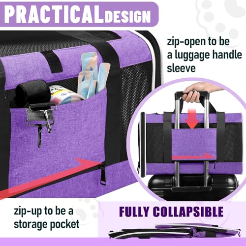 GAPZER Large Cat Carrier Soft, Collapsible Travel Pet Carry Bag, Small Dogs | Large Cats up to 20 lbs+ Maine Coon, Top Load Transport Small Puppy Dog Crate, Chihuahua Mini Dog 10lbs, Sturdy Fabric Pueple - color: Purple