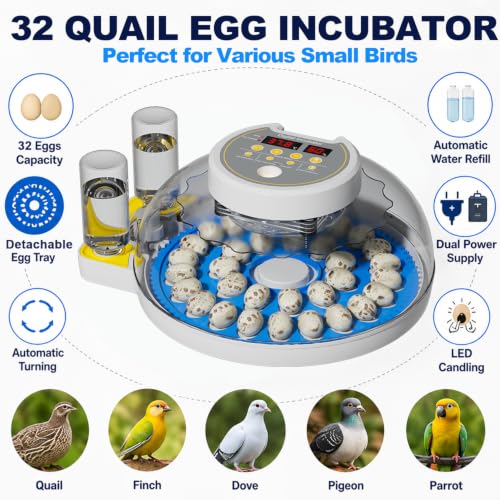 32 Quail Egg Incubator for Hatching Eggs, Dual Power Supply, Automatic Egg Turner, Humidity & Temperature Monitor, Egg Candler, External Water Filling, Bird Egg Incubator for Quail Dove