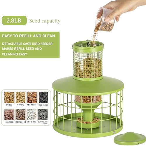 Caged Bird Feeders Squirrel-Proof, Metal, 2.8Lbs Capacity-Cage Tube Seed Feeders with Tray, Hanging Wild Bird Feeders, Attract Birds,Detachable Cleaning, Starling Proof Wild Bird Feeder（Green） - color: Green