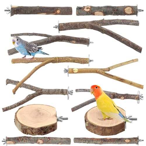 12 Pcs Natural Wood Bird Perch Stand & Platform Set for Cages | Ideal for Small/Medium Birds (Budgies, Conures) | Bark Textures for Foot Health | Tool-Free Wing-Nut | Safe Chewing - size: Deluxe Playground Set - 12PCS