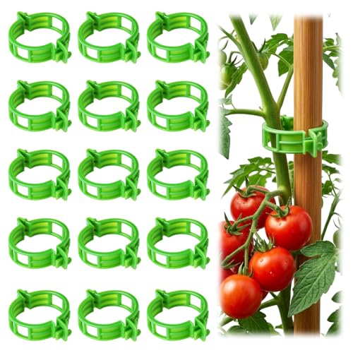 100Pcs Tomato Clips for Climbing Plants Trellis Plant Support Clips | Reusable Plastic Clips for Supporting Grape Tomato Vine and Vegetables Plants to Grow Upright Makes Plants Healthier (Green) - color: Green