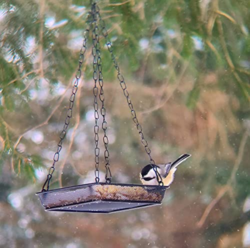 2 Pack Hanging Bird Feeder Tray Platform Metal Mesh Seed Tray for Bird Feeding Outdoor Garden Decoration for Backyard Attracting Wildbirds