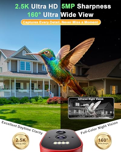 Hummingbird Feeder with Camera – 2.5K 5MP Solar-Powered Glass Bottle Smart Humming Bird Feeder with AI Recognition, Upgraded Leak-Proof & Ant Moat, Instant Alerts, Works with Alexa & Google Assistant