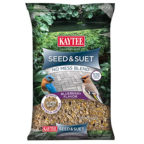 Kaytee Seed & Suet No Mess Blend Blueberry Flavor 10 Pounds - size: 10 Pounds (Pack of 1)