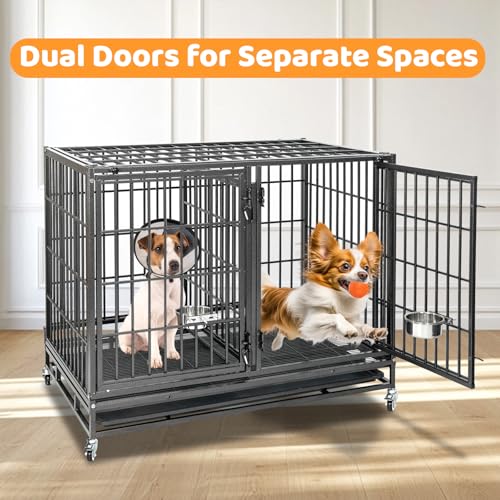 Homey Pet Taller 43" Two Tiers Dog Crate Cage Kennel with Divider, 2 Pack | Commercial Modular Dog Kennel with Dual Front Doors, Divider, Auto Locks, Removable Tray, Bowls for Small and Medium Dogs - size: 43"L - 2 Tiers - 2 Pack