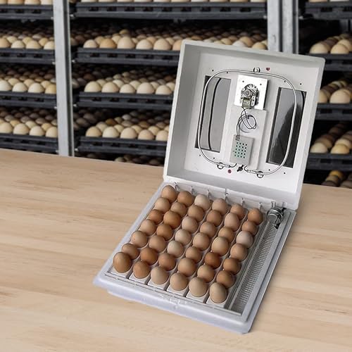 Farm Innovators 120 Volt 40 Watt Circulated Air Incubator for Up to 4 Eggs with Easy to Read Digital Display and Large Picture Window, White (2 Pack) - color: Digital Circulated Air, size: 2 Pack
