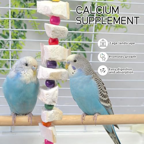 2 Pack Bird Toys, Parakeet Toys with Cuttlebone, Natural Cuttle Bone Bird Beak Grinding Stone & Parrot Chew Cuttlebone Cage Accessories with Bell for Budgie, Conure, Lovebird - 12 Pieces - color: 2 Pack Bird Toys - 12 Pieces, size: 17.13*1.57*1.57"