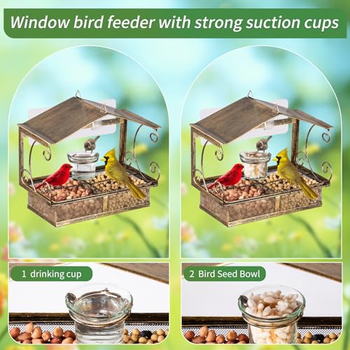 Window Bird Feeder for Outdoors | Glass Water Cup, Hook Chain Included, Attracts Wild Birds, Gift for Bird Lovers