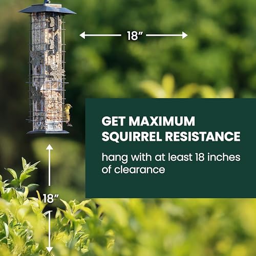 Perky-Pet Squirrel-Be-Gone Bird Feeder, 2 lb Seed Capacity | Weight-Activated Squirrel Proof Bird Feeder, Wild Bird Feeder for Outdoors with U-Shaped Perches and Clear Seed Reservoir