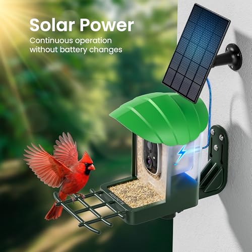 Smart Bird Feeder with Camera, 3K HD Live Stream, AI Species Identification, Solar Powered, Instant Motion Alerts, IP65 Weatherproof Outdoor Gifts for Bird Lovers, Green - color: Green-3K
