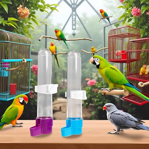 1Pc Parakeet Water Dispenser Hanging Plastic Automatic Feeder for Cage No Spill Food Container for Small Medium Birds Parrot Toys African Grey for Small Parrots Conure Macaw Parrot Toys(Random Color)