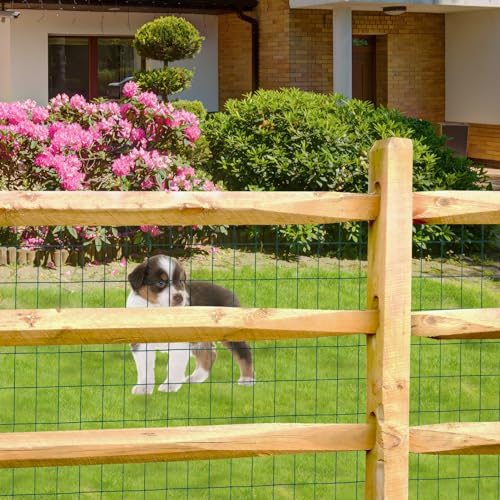 Green PVC Coated Welded Wire Fence 24" x 25' Roll, 2"x3" Mesh, 16 Gauge | Vinyl Coated Garden Fencing, Yard & Pet Barrier, Chicken Wire Fencing, Dog Enclosure Mesh, Vegetable Plant Protector - color: Green, size: 2''x3'' 16GA 24''x25'