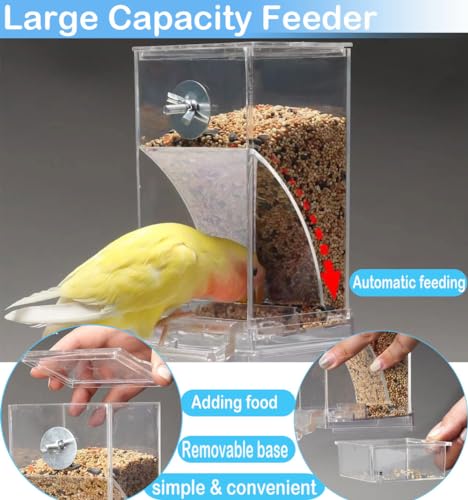 Bird Parrot Feeders, No Mess Automatic Cage Feeder Dispenser Food Container, Auto Bird Seed Bowl for Small Medium Birds, Cockatiel Canary Cockatoos Parakeet Conure Lovebird, Acrylic Clear (Feeder)