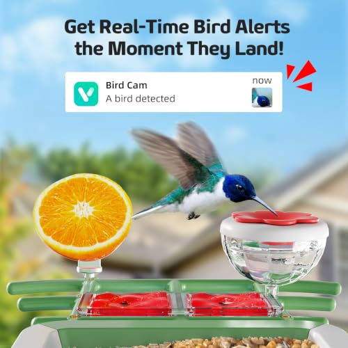 Bird Feeder with Camera, 2K HD Smart Birds Feeder with Solar Panel, AI Bird-Recognition, Instant Motion Alerts, Auto Capture BirdVideos, Outdoor Birdhouse Feeder Gift for Bird Lovers - color: Green